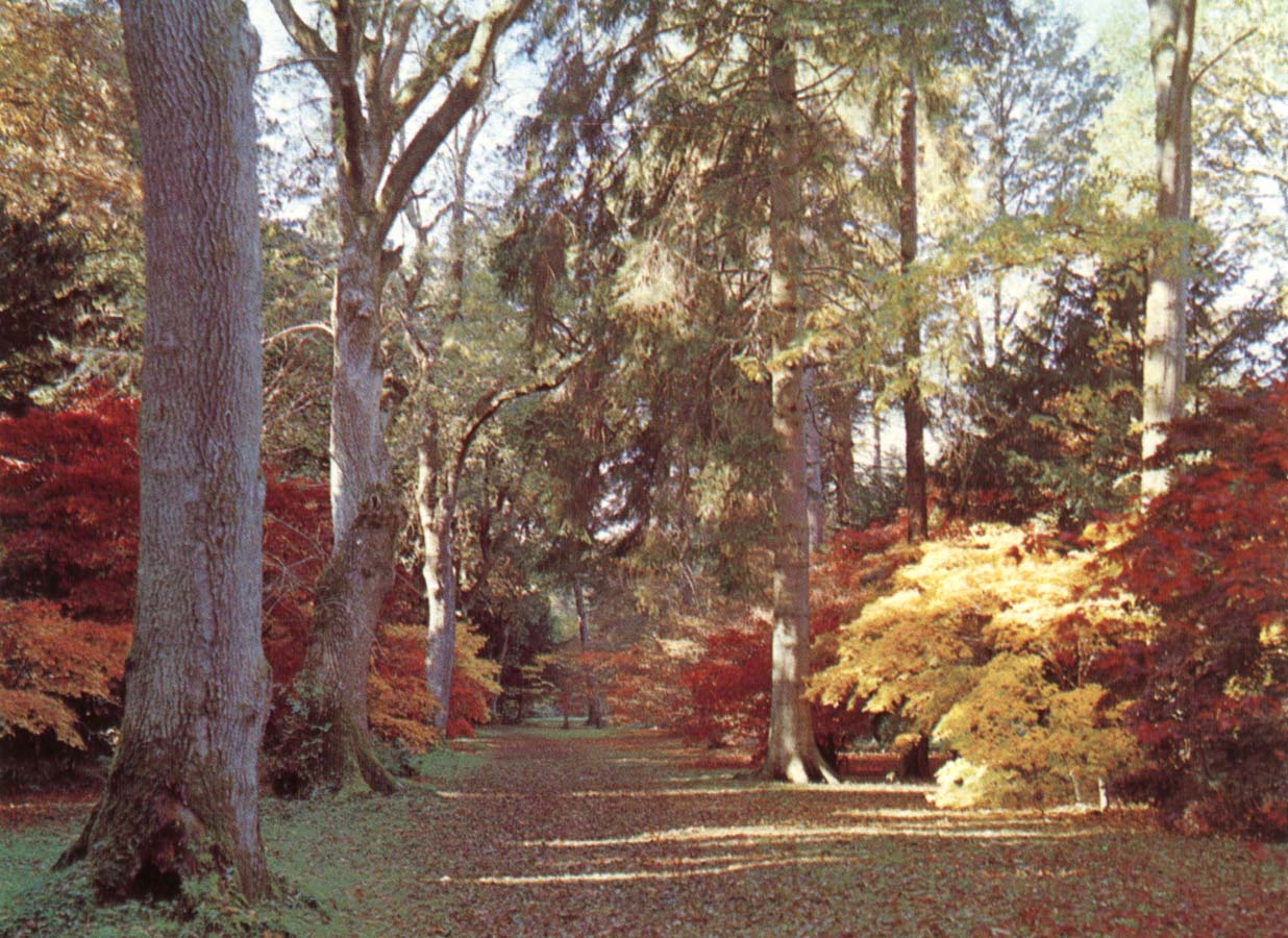 Westonbirt Arboretum